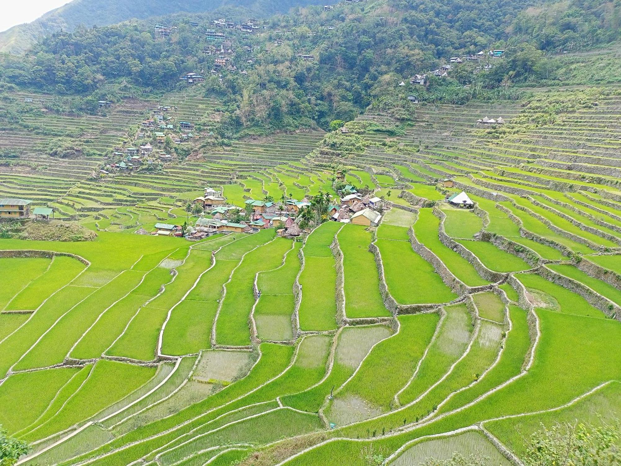Transient House * Banaue